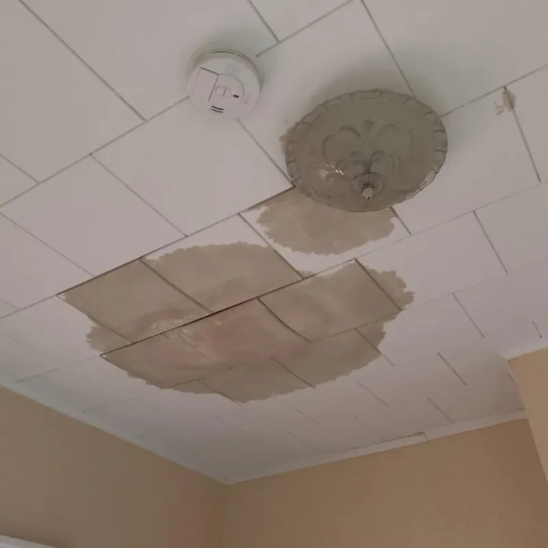 Ceiling Water Damage Repair in Miller Place, NY